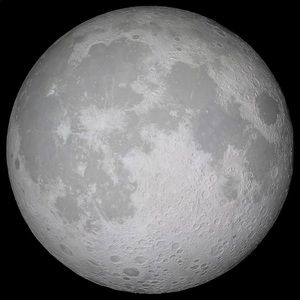 Meet your Posher, Dustin